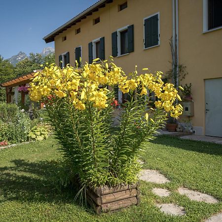 Casa Edith Libano エクステリア 写真