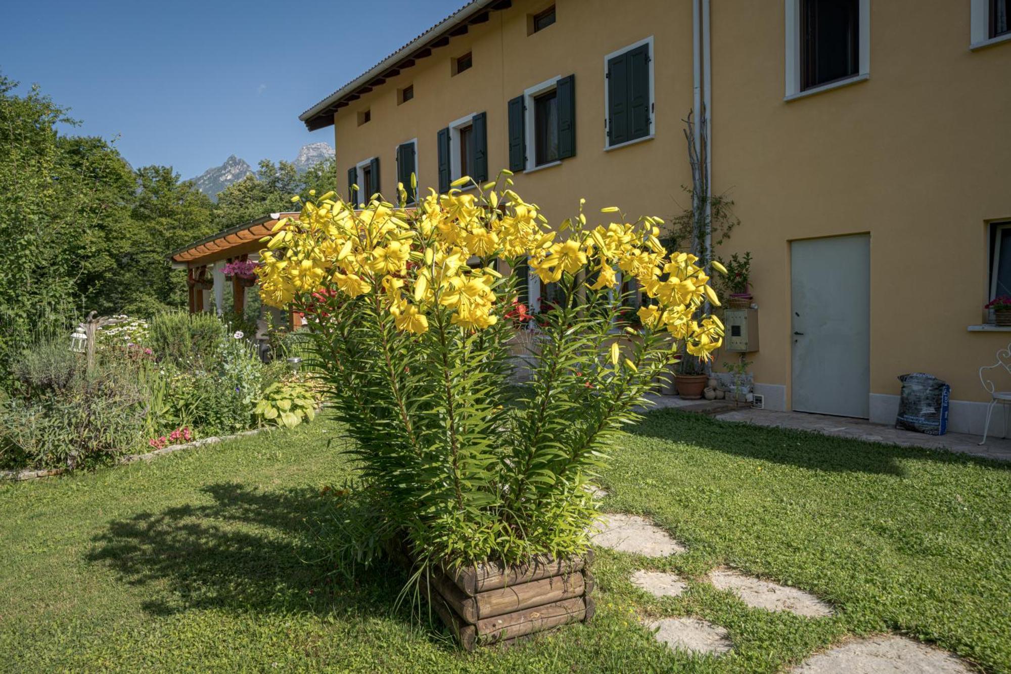 Casa Edith Libano エクステリア 写真
