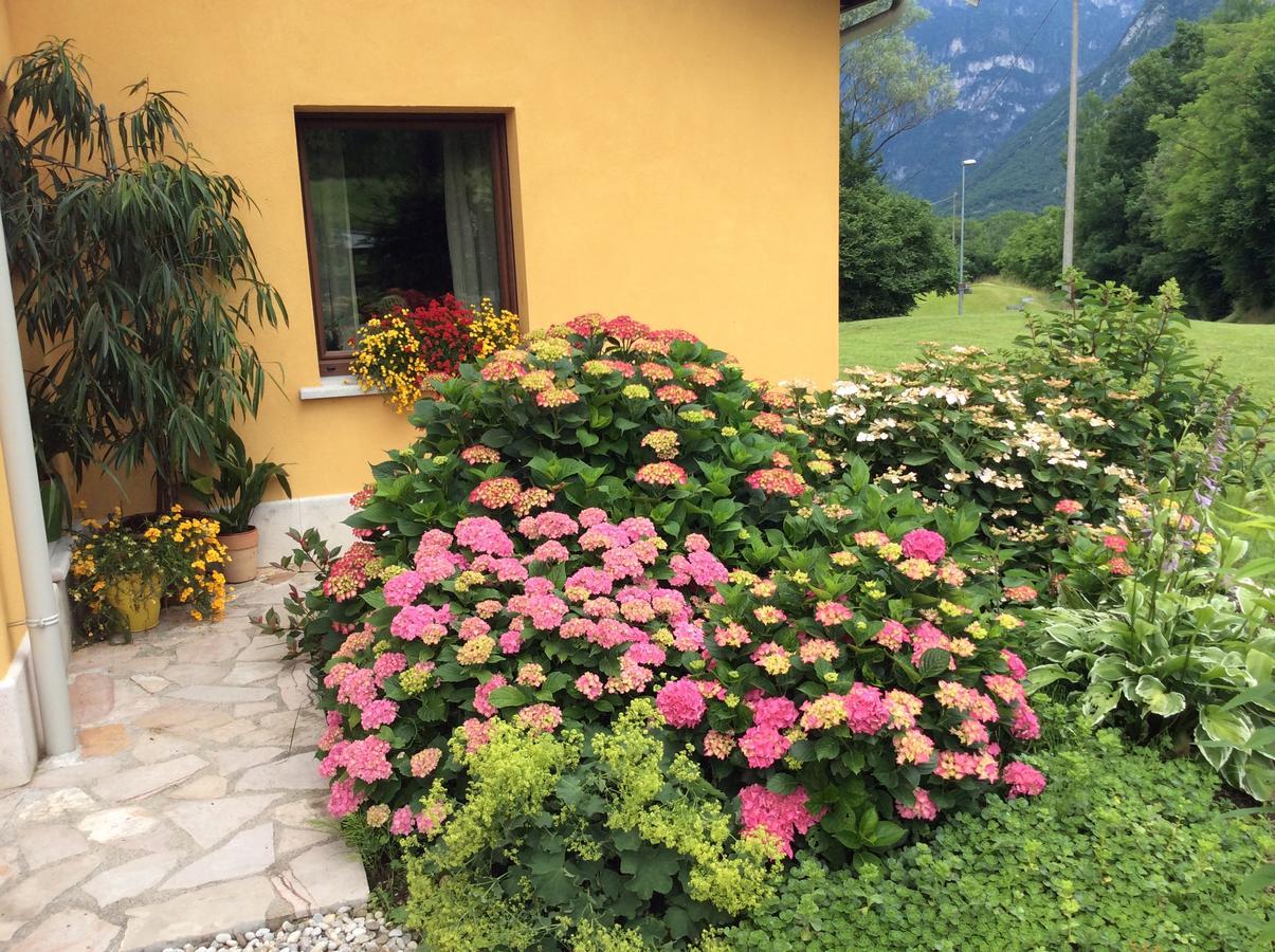 Casa Edith Libano エクステリア 写真
